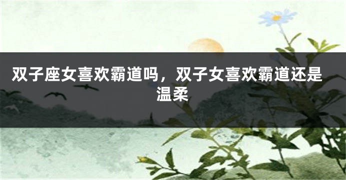 双子座女喜欢霸道吗，双子女喜欢霸道还是温柔