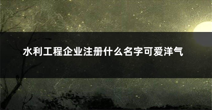 水利工程企业注册什么名字可爱洋气