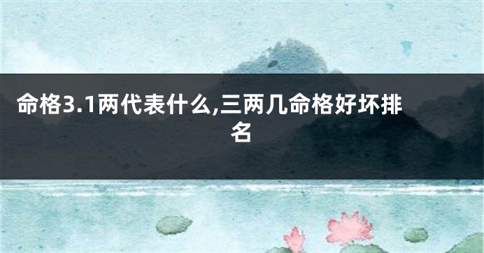 命格3.1两代表什么,三两几命格好坏排名