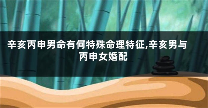 辛亥丙申男命有何特殊命理特征,辛亥男与丙申女婚配