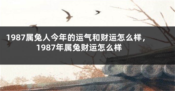 1987属兔人今年的运气和财运怎么样,1987年属兔财运怎么样