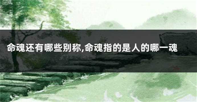 命魂还有哪些别称,命魂指的是人的哪一魂