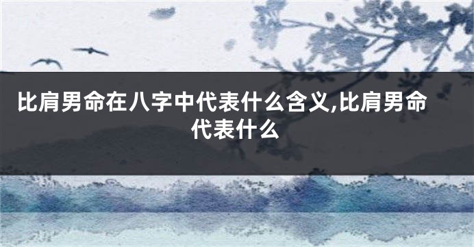 比肩男命在八字中代表什么含义,比肩男命代表什么