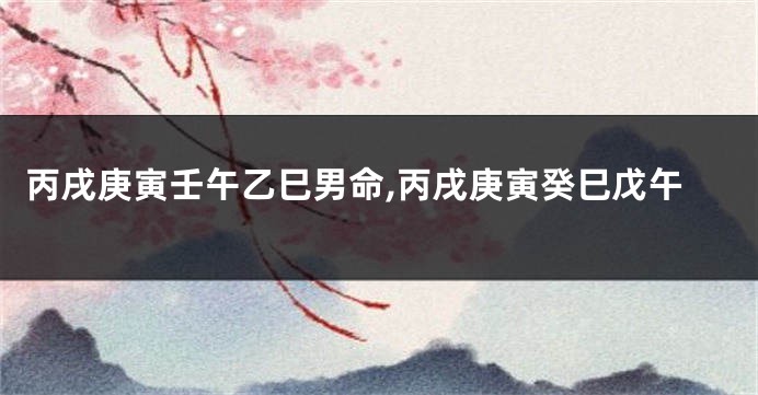 丙戌庚寅壬午乙巳男命,丙戌庚寅癸巳戊午