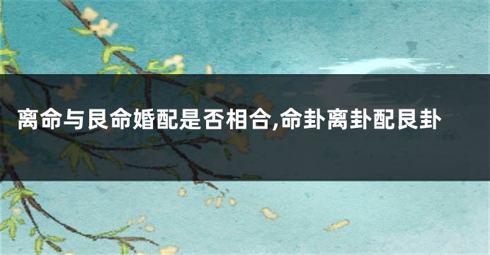 离命与艮命婚配是否相合,命卦离卦配艮卦