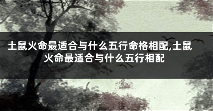 土鼠火命最适合与什么五行命格相配,土鼠火命最适合与什么五行相配