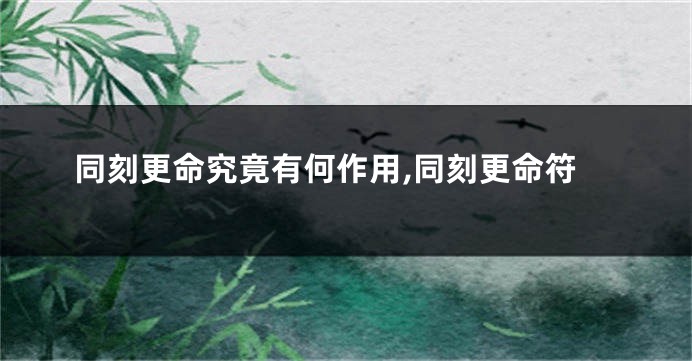 同刻更命究竟有何作用,同刻更命符