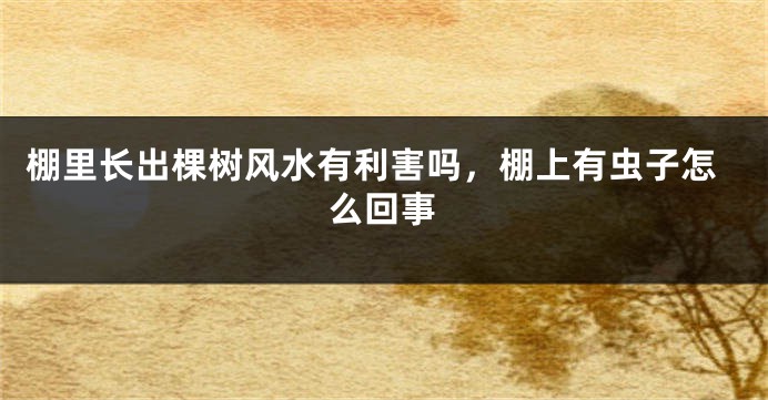 棚里长出棵树风水有利害吗,棚上有虫子怎么回事