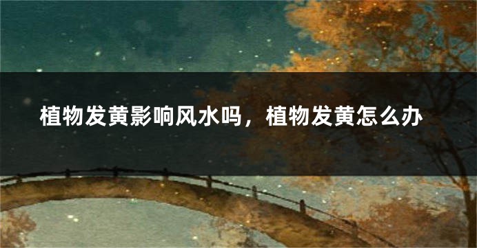 植物发黄影响风水吗，植物发黄怎么办