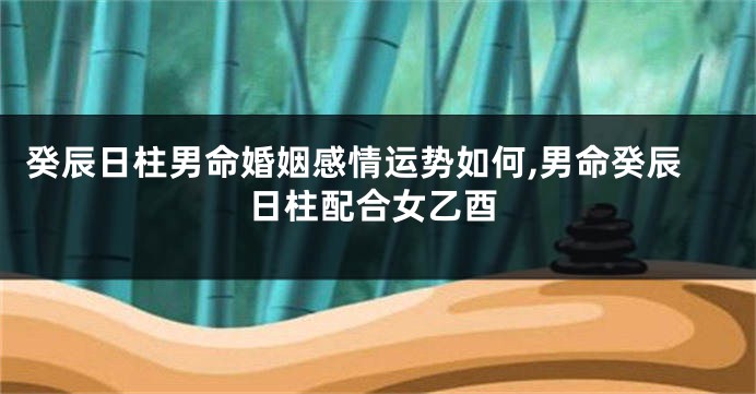 癸辰日柱男命婚姻感情运势如何,男命癸辰日柱配合女乙酉