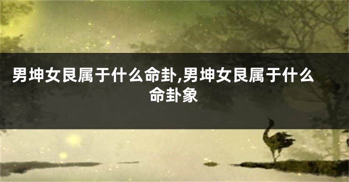 男坤女艮属于什么命卦,男坤女艮属于什么命卦象