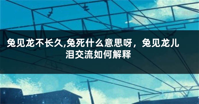 兔见龙不长久,兔死什么意思呀，兔见龙儿泪交流如何解释