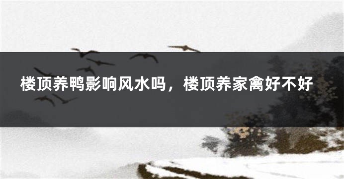 楼顶养鸭影响风水吗，楼顶养家禽好不好
