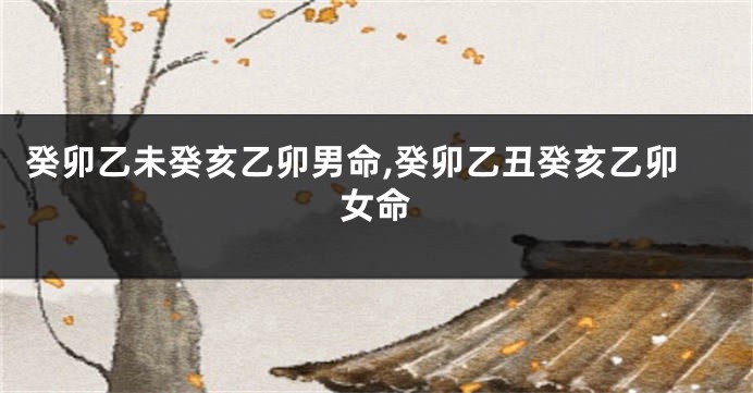 癸卯乙未癸亥乙卯男命,癸卯乙丑癸亥乙卯女命