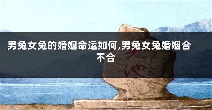 男兔女兔的婚姻命运如何,男兔女兔婚姻合不合