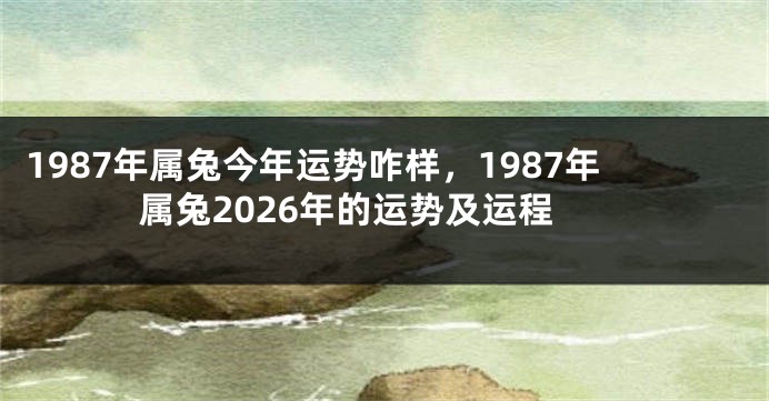 1987年属兔今年运势咋样，1987年属兔2026年的运势及运程