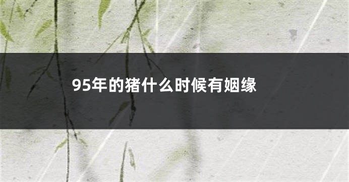 95年的猪什么时候有姻缘