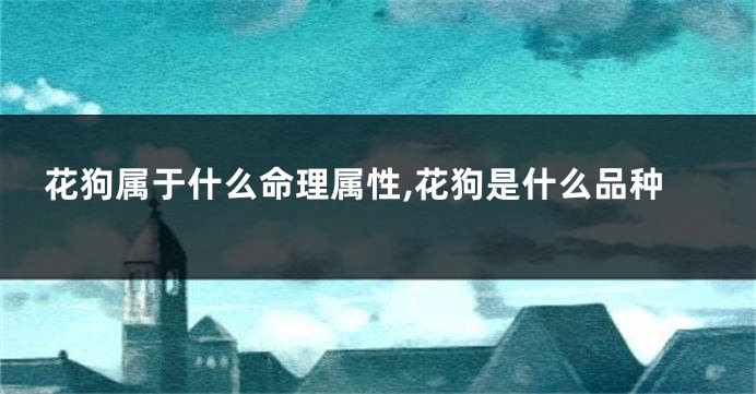 花狗属于什么命理属性,花狗是什么品种