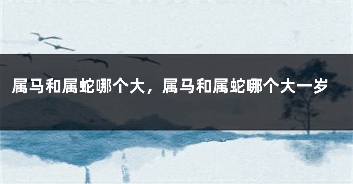 属马和属蛇哪个大，属马和属蛇哪个大一岁