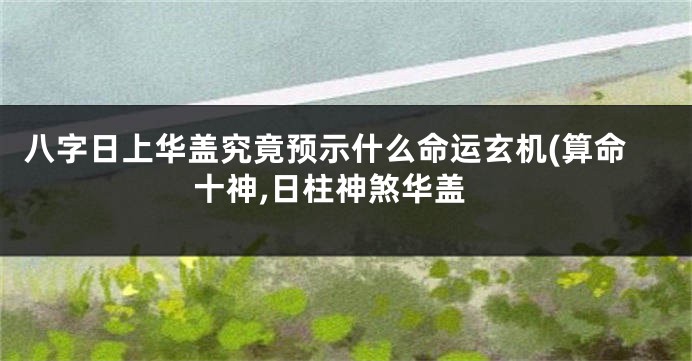 八字日上华盖究竟预示什么命运玄机(算命十神,日柱神煞华盖
