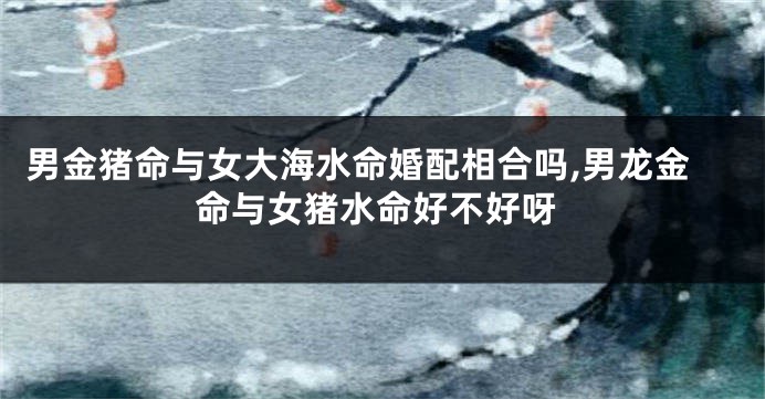男金猪命与女大海水命婚配相合吗,男龙金命与女猪水命好不好呀