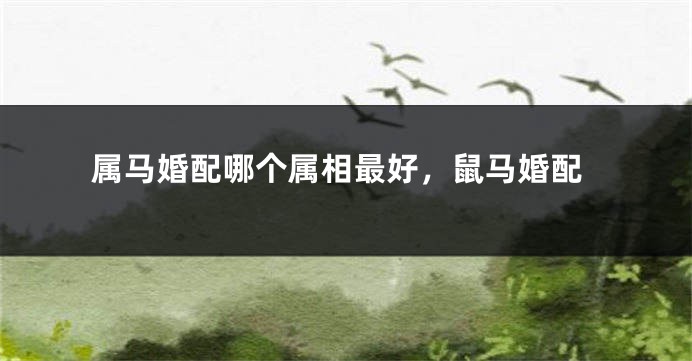 属马婚配哪个属相最好，鼠马婚配