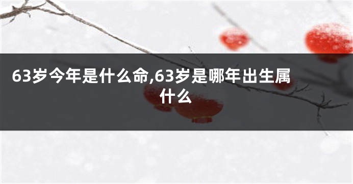 63岁今年是什么命,63岁是哪年出生属什么