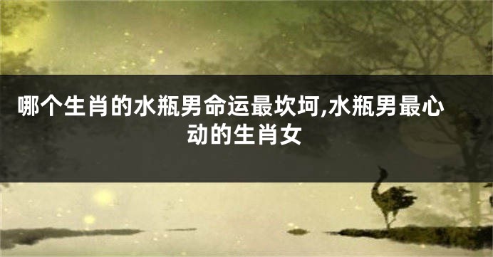 哪个生肖的水瓶男命运最坎坷,水瓶男最心动的生肖女