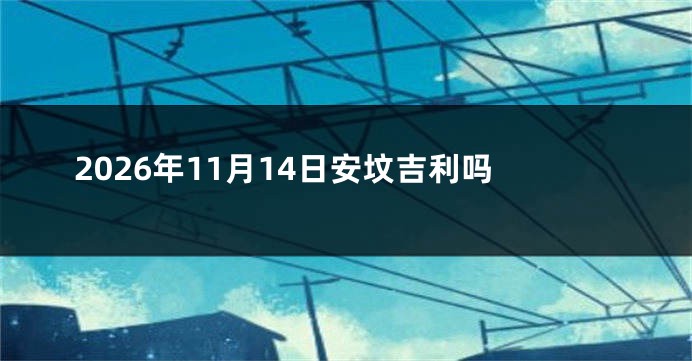 2026年11月14日安坟吉利吗