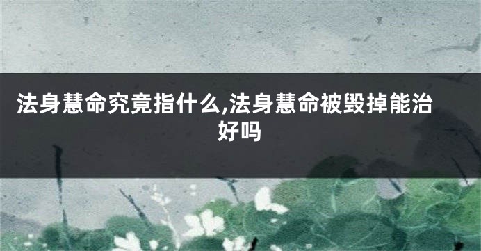 法身慧命究竟指什么,法身慧命被毁掉能治好吗