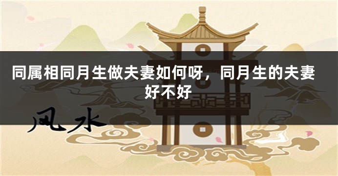 同属相同月生做夫妻如何呀,同月生的夫妻好不好