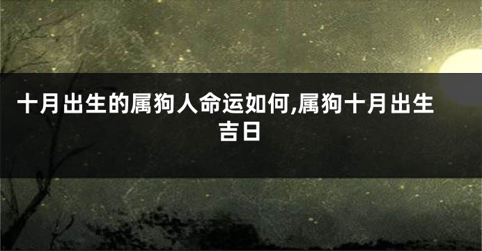 十月出生的属狗人命运如何,属狗十月出生吉日