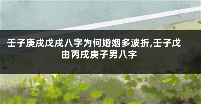 壬子庚戌戊戌八字为何婚姻多波折,壬子戊由丙戌庚子男八字