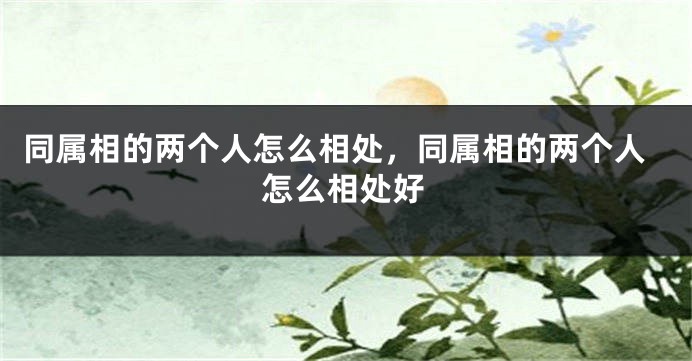 同属相的两个人怎么相处，同属相的两个人怎么相处好