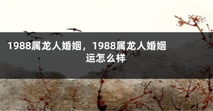 1988属龙人婚姻，1988属龙人婚姻运怎么样