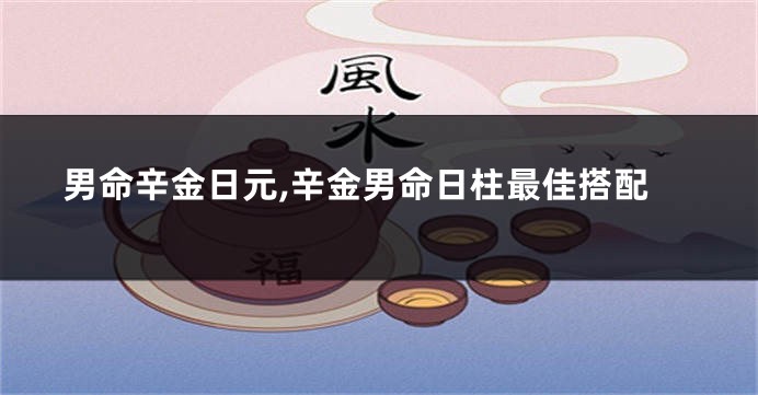 男命辛金日元,辛金男命日柱最佳搭配