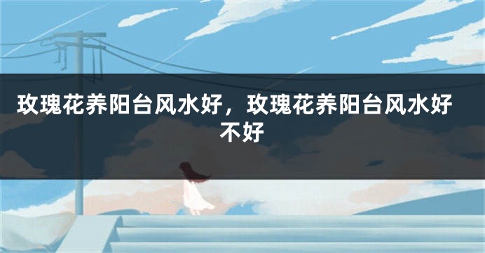 玫瑰花养阳台风水好,玫瑰花养阳台风水好不好