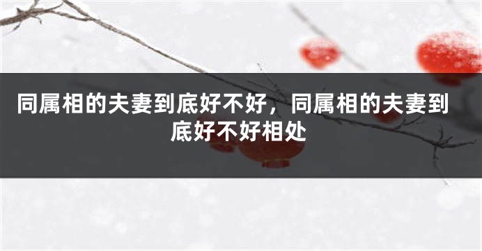 同属相的夫妻到底好不好，同属相的夫妻到底好不好相处