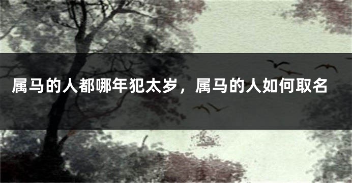 属马的人都哪年犯太岁,属马的人如何取名