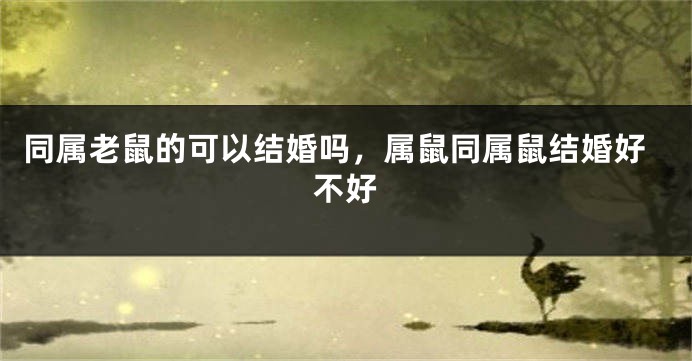 同属老鼠的可以结婚吗,属鼠同属鼠结婚好不好