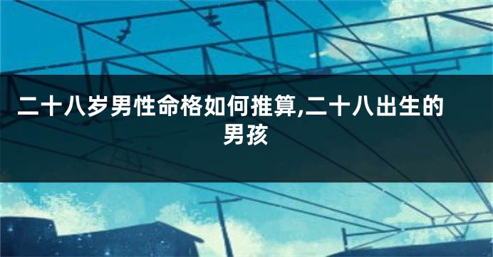 二十八岁男性命格如何推算,二十八出生的男孩