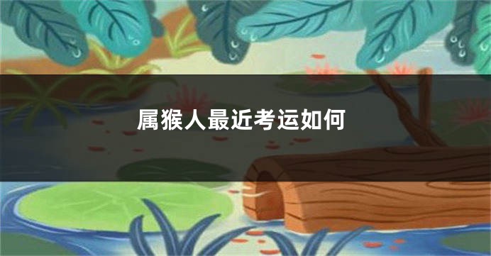 属猴人最近考运如何