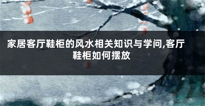 家居客厅鞋柜的风水相关知识与学问,客厅鞋柜如何摆放