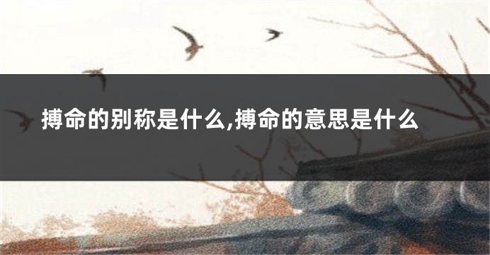 搏命的别称是什么,搏命的意思是什么