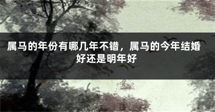 属马的年份有哪几年不错,属马的今年结婚好还是明年好