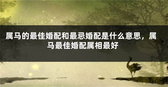 属马的最佳婚配和最忌婚配是什么意思，属马最佳婚配属相最好