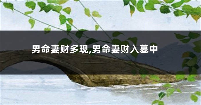 男命妻财多现,男命妻财入墓中