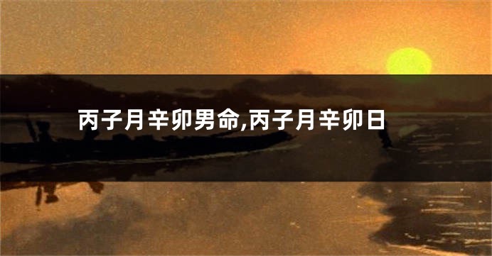 丙子月辛卯男命,丙子月辛卯日