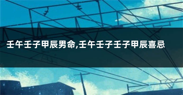 壬午壬子甲辰男命,壬午壬子壬子甲辰喜忌