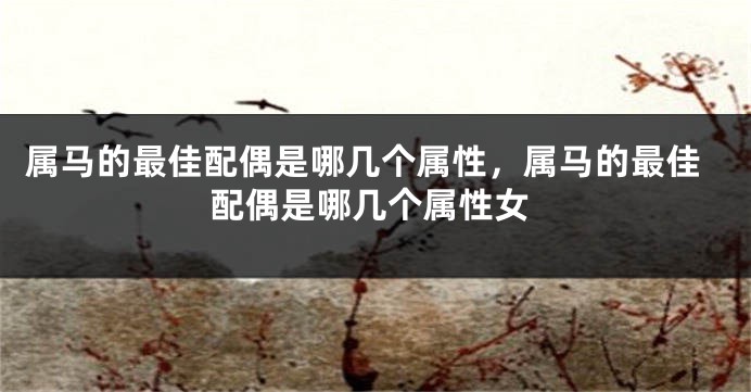 属马的最佳配偶是哪几个属性,属马的最佳配偶是哪几个属性女